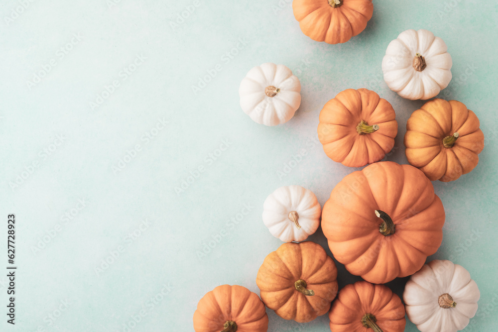 Decorative pumpkins on turquoise background top view, flat lay. Autumn, Thanksgiving or Halloween minimalist greeting card
