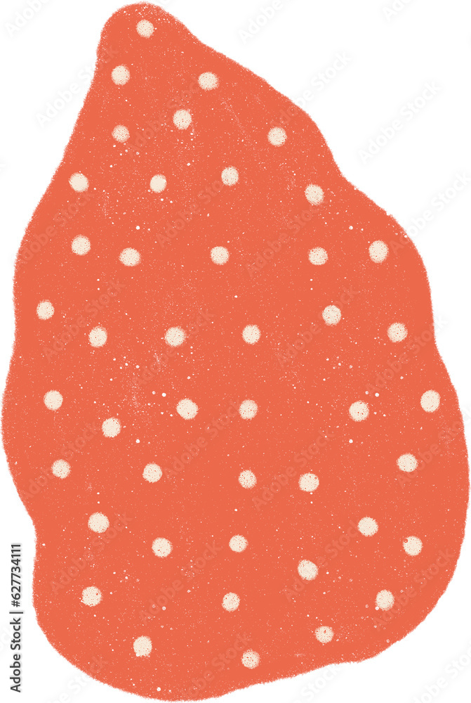 Hand drawn Tropical Leaf Illustration Hand drawn Tropical Leaf Illustration