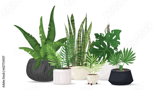 Composition of trendy tropical flowers