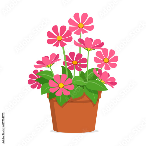 flower with good quality and good design