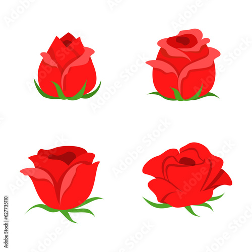 flower rose with good quality and good design