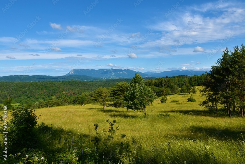 Landscape of Notranjska, Slovenia with grassland and forests and Nanos plateau