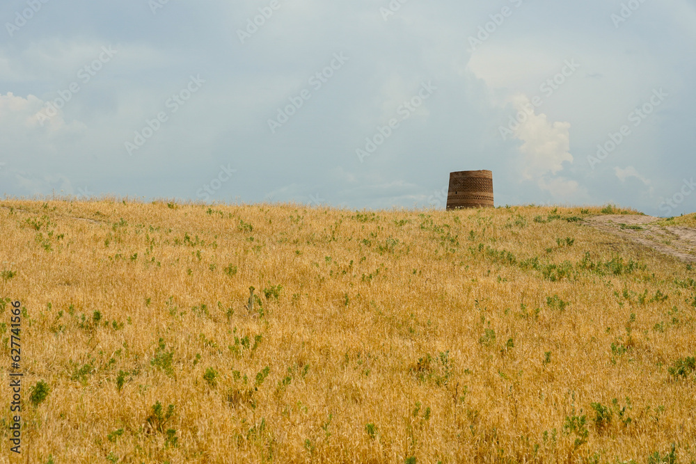 Fototapeta premium Burana Tower Kyrgyzstan. View from the hill. High quality photo