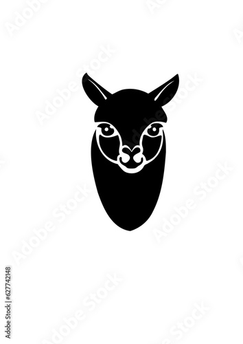 alpaca tête 