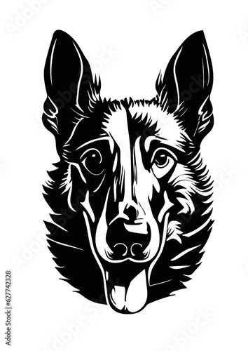 tete de chien vecteur , berger belge