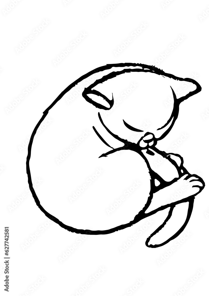 Obraz premium chat qui dort