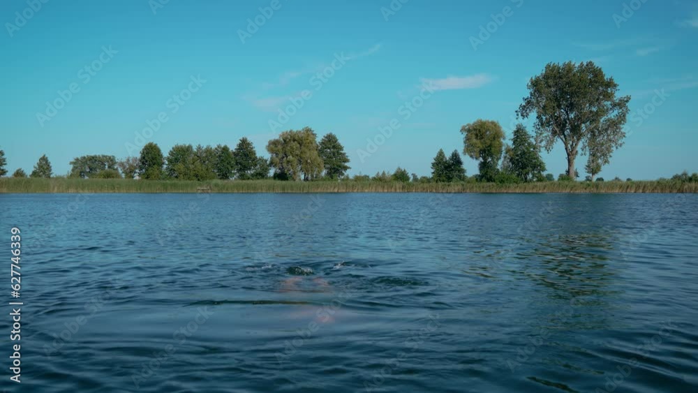 Adult bald man swimming in cool refreshing lake water and gets out on pier. Resting active healthy lifestyle and wellness Adult bald man swimming in cool refreshing lake water and gets out on pier. Resting active healthy lifestyle and wellness