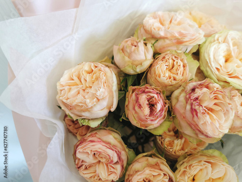 Spray rose close-up. Peony soft pink rose.