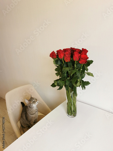 The cat sits on an armchair next to a bouquet of red roses in a glass vase on the table.