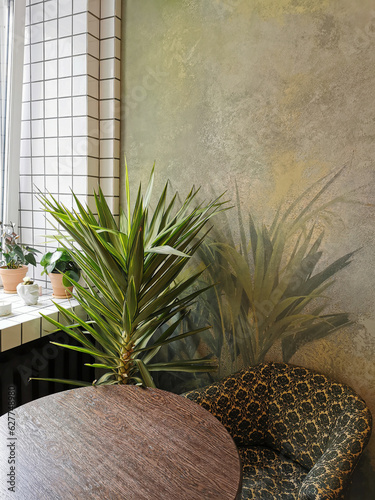 Interior corner with armchair, round table and palm tree.