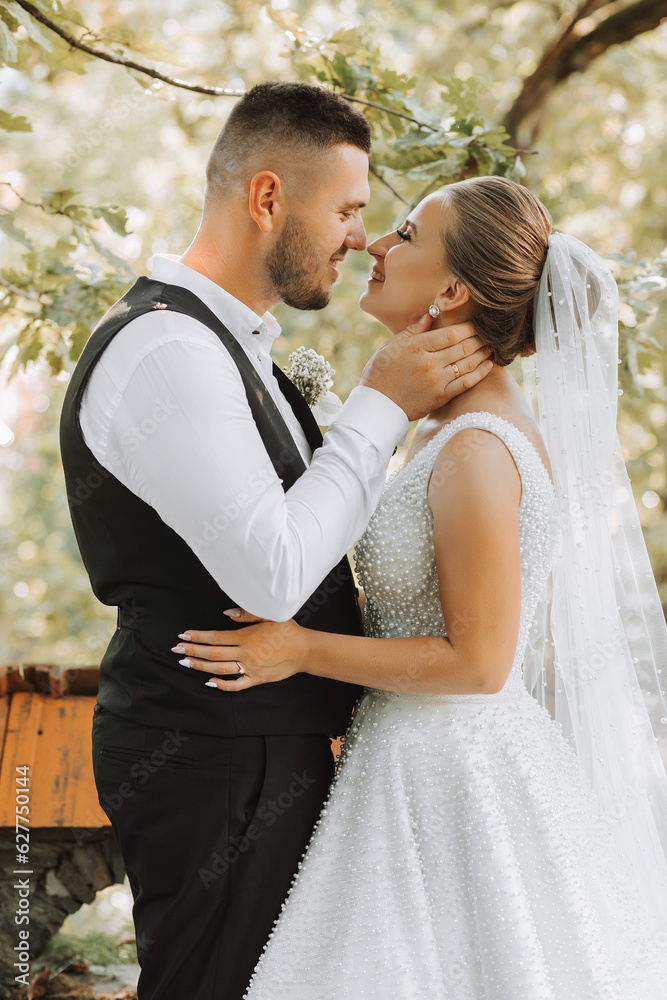 The bride and groom are standing and embracing in a beautiful yard. Wide angle photo of the sunset.