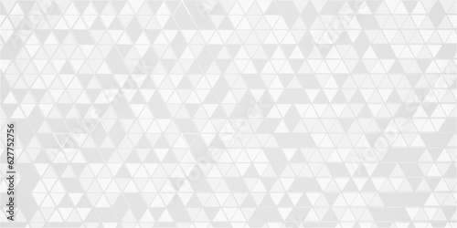Abstract gray and white background. Abstract geometric pattern gray and white Polygon Mosaic triangle Background, business and corporate background. 