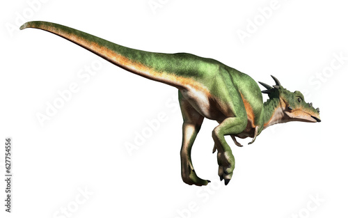 Rear View. Dracorex is a genus of pachycephalosaurid dinosaur that lived in North America during the Late Cretaceous period, isolated on a white background , 3D Rendering photo