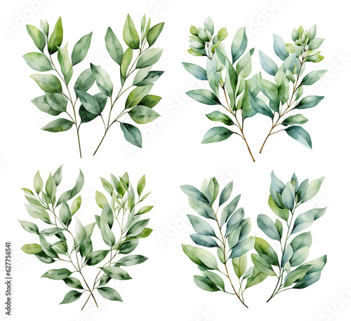Eucalyptus watercolor set. Generative Ai