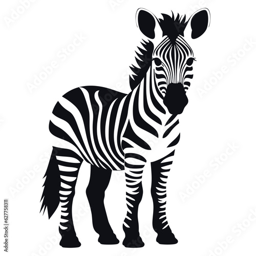 Zebra, striped horse, African savannah animal, striped hide, line pattern. Wild animal, cute character, isolated object on white background, cartoon vector drawing.