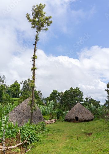 Traditional houses with thatched roofs going down near the ground, Gamo Gofa Zone, Ganta, Ethiopia photo