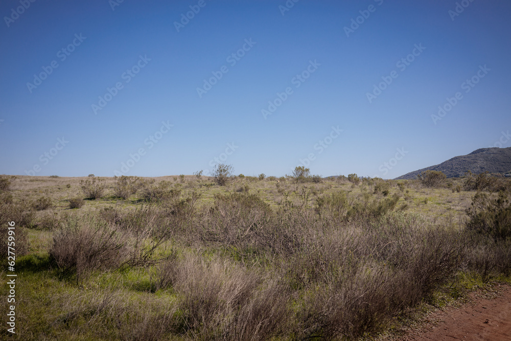 Mission Trails Open Space San Diego California