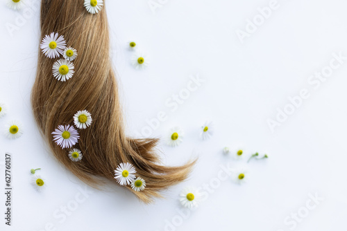 Medicinal flowers with smooth hair on a white background. Summer flowers in hair.