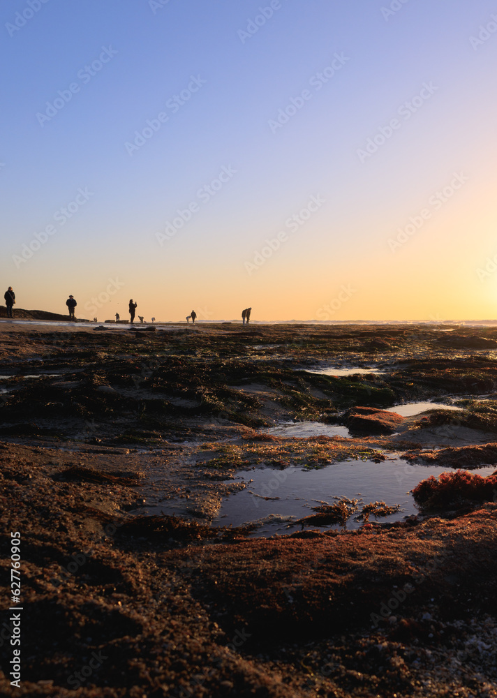 Naklejka premium Tidepools at Sunset on La Jolla Beach California