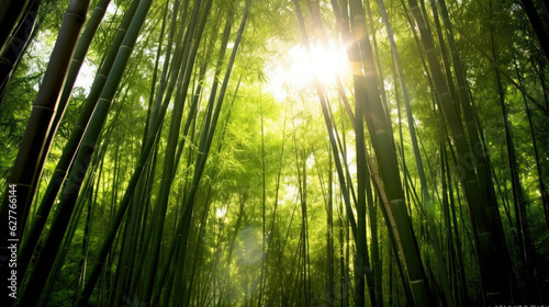Bamboo forest with the sun shining through the leaves. Generative AI