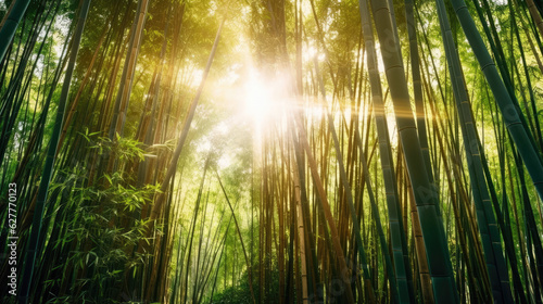 Bamboo forest with the sun shining through the leaves. Generative AI