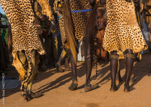 Dassanech men with leopard skins and ostrich feathers headwears during dimi ceremony to celebrate circumcision of teenagers, Omo valley, Omorate, Ethiopia photo