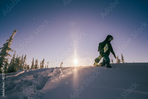Silhouette of Snowboarder walking on snowy powder near fir-tree forest covered with snow