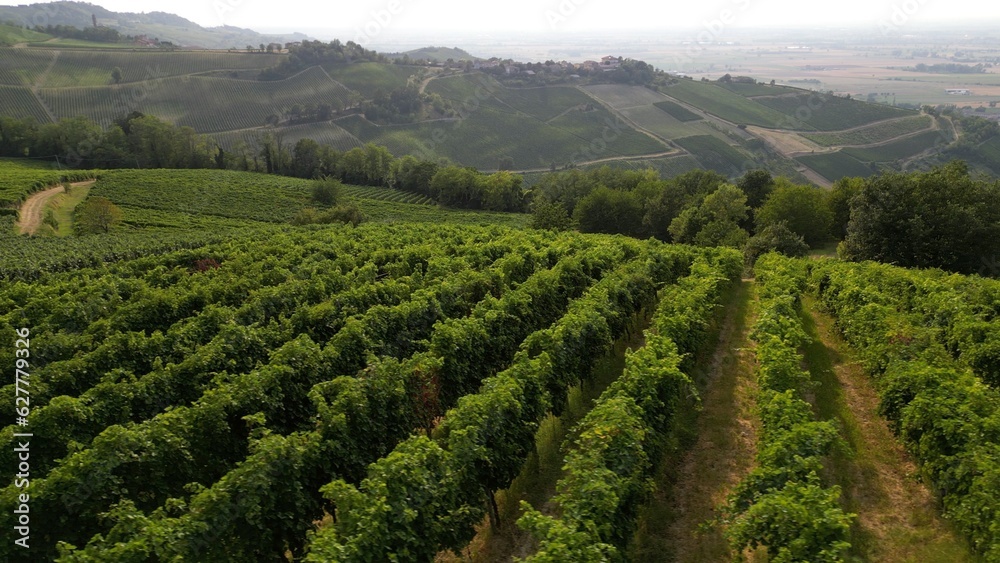 Europe, Italy, Oltrepo' Pavese Montalto - drone aerial view of amazing landscape countryside nature with vineyard production of vine area near Broni between Lombardy e Tuscany region 