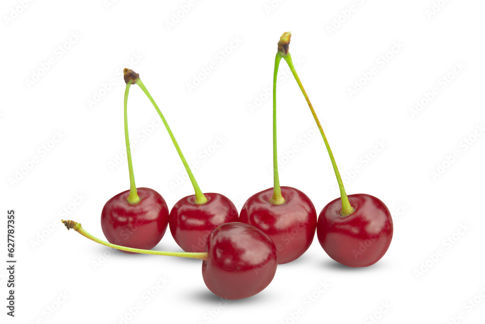 Ripe fresh cherry isolated on transparent background. Ripe fresh cherry isolated on transparent background.