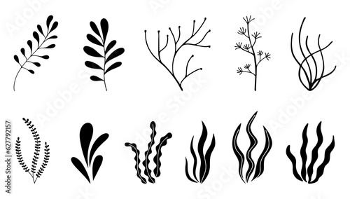 Set of seaweed icons. Marine plants are isolated on white background. Vector illustration