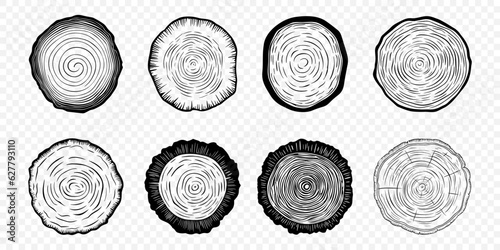Vector Tree Rings, Saw Cut Tree Trunk, Wood Log, Cross. Pine, Oak Slices, Lumber. Cut Timber, Wooden Texture with Tree Rings. Hand Drawn Design Elements Set