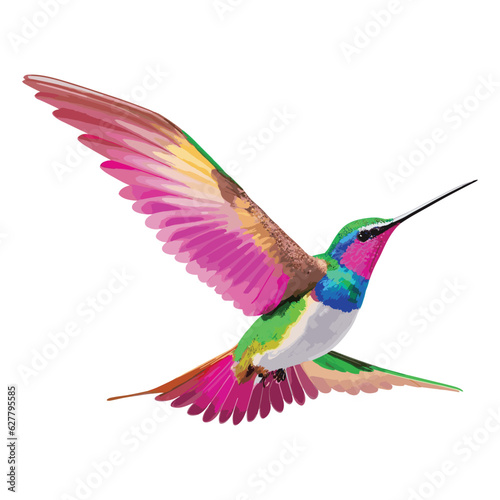 A hummingbird hovering in the air, its wings illuminated against a white backdrop.