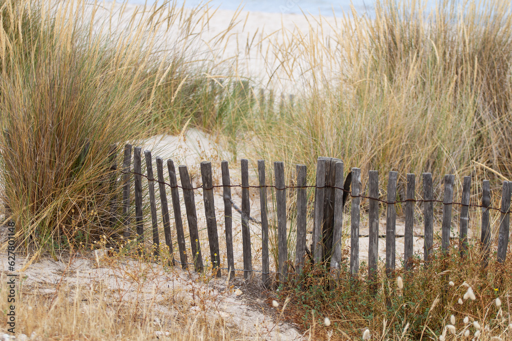 Sand fence to avoid erosion in Calvi Corsica at the mediterranean sea ...