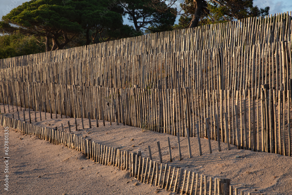 Fototapeta premium Sand fence to avoid erosion in Calvi Corsica at the mediterranean sea