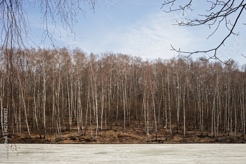 birch grove, landscape with frozen river