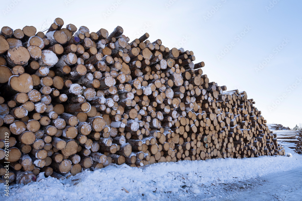 Pile of logged tree trunks. Sawn trees from the forest. Logging timber wood industry. Cut trees along a road prepared for transport.