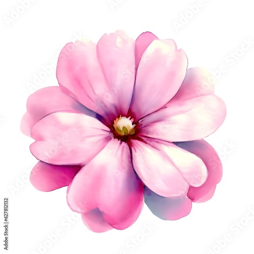 pink rose watercolor drawing isolated on white background Generative AI