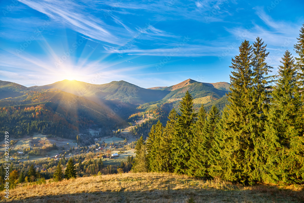 beautiful mountains and pines, View of mountains and pines in autumn, Aerial View On Spacious Pine Forest At Sunrise beautiful mountains and pines, View of mountains and pines in autumn, Aerial View On Spacious Pine Forest At Sunrise