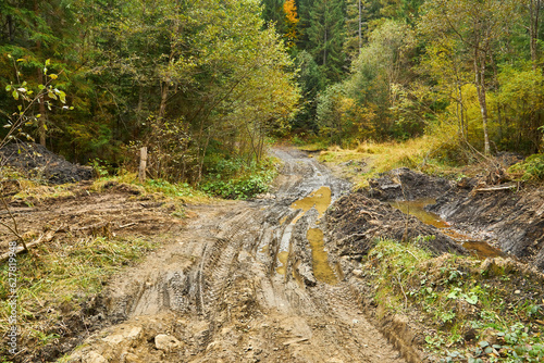 Fotografija Country road through the forest with large muddy puddles after rain