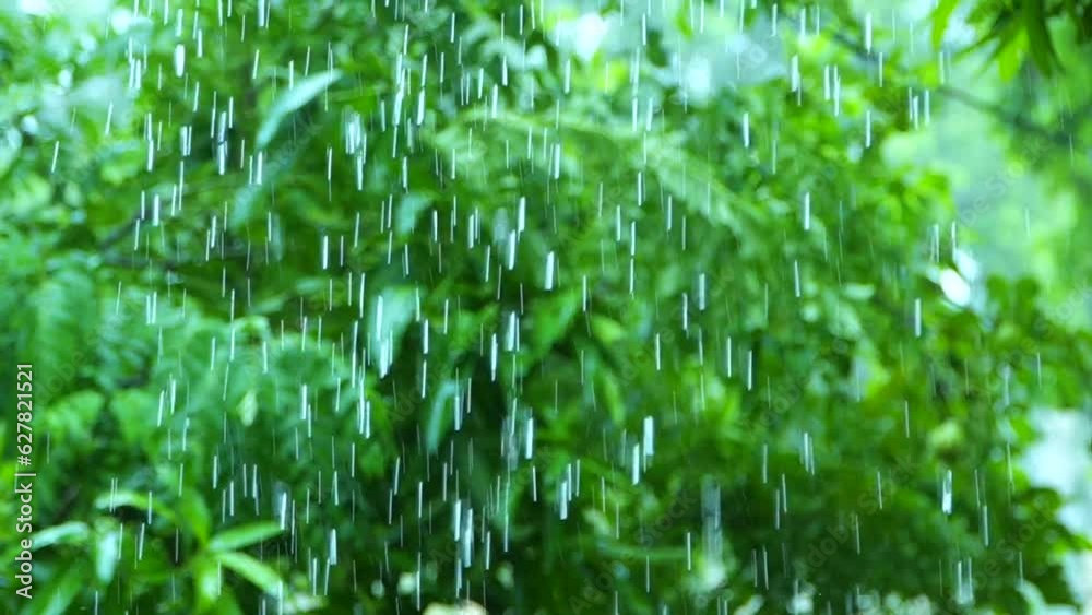 Nature feeling close to rain drops during the day Nature feeling close to rain drops during the day