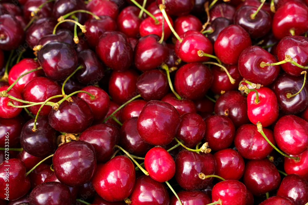 Showcase with cherry berries. Food market. Background Showcase with cherry berries. Food market. Background