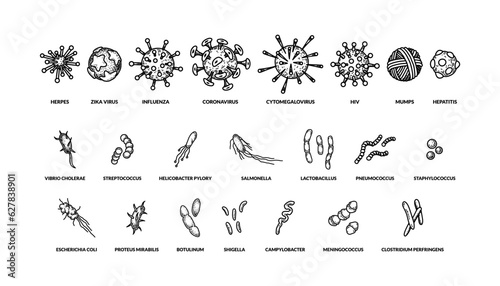 Set of hand drawn different types viruses of bactreias with names. Vector illustration in sketch style. Realistic scientific drawing photo
