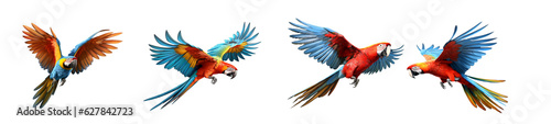 Photo Macaw parrots are flying beautifully in bright colors on a transparent background