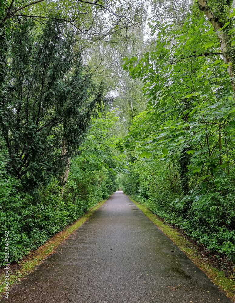Way in the park at a rainy day Way in the park at a rainy day