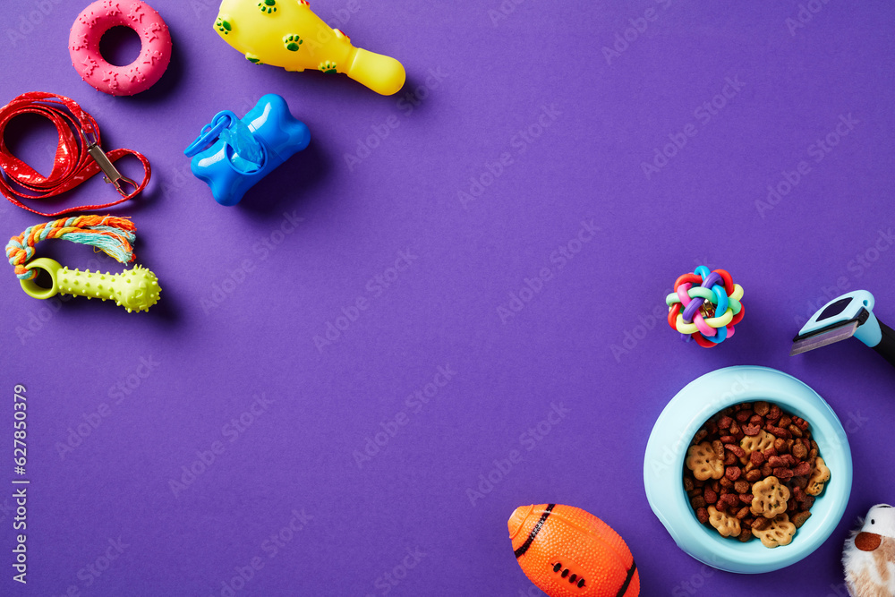 Pet supplies and bowl of dry food on purple background. Flat lay, top view. Pet care concept.