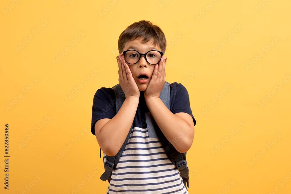 Amazed cute preteen boy schooler touching his face Amazed cute preteen boy schooler touching his face