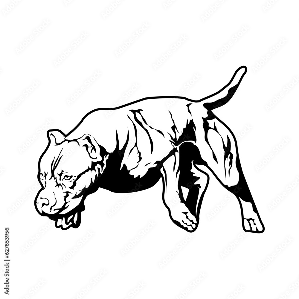 Fototapeta premium American Pitbull Terrier dog. vector illustration