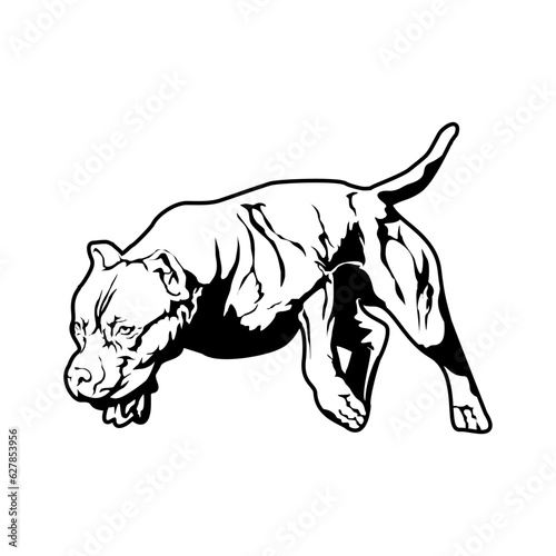 American Pitbull Terrier dog. vector illustration