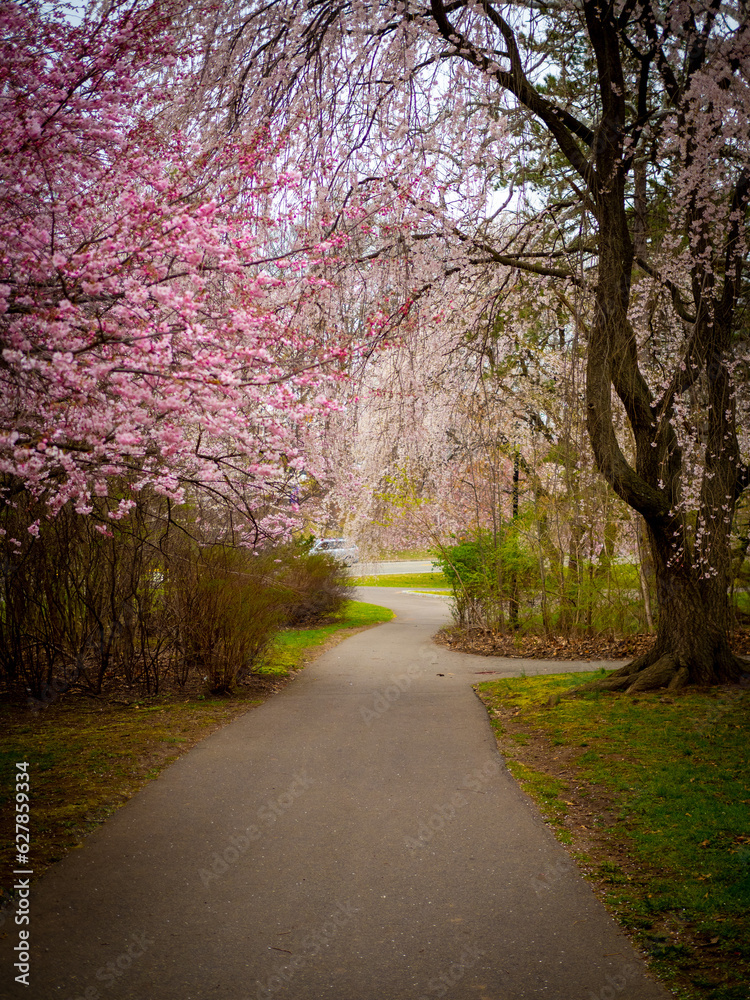 Park Aisle