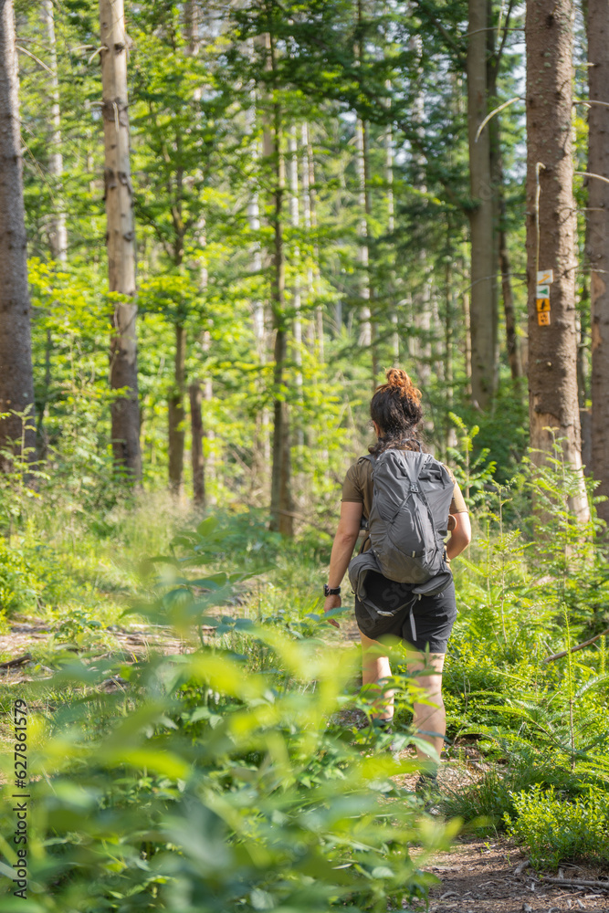 hiker girl on her back walking in bavarian forest on sunny day hiker girl on her back walking in bavarian forest on sunny day